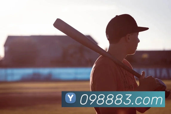 互动解说服务